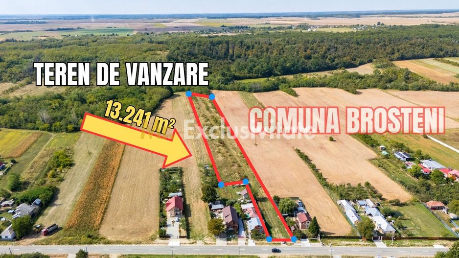 🏭 Teren industrial 13.241 mp | Costești, Argeș - Poză 4