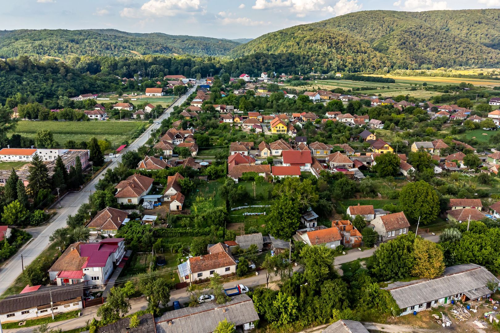 Casă frumoasă la Săvârșin - Poză 8