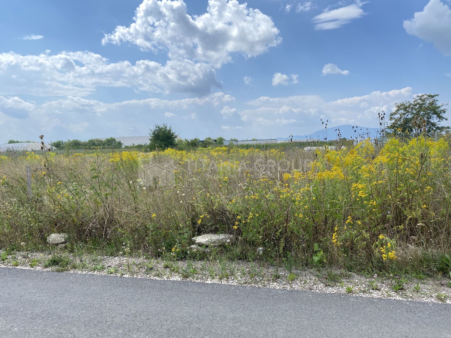 Teren industrial, POT 50%,  acces TIR,  1000 mp, asfalt, COMISION 0 - Poză 4