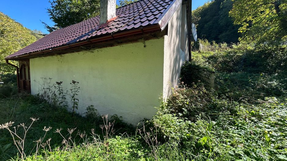 Cabana de vanzare, Valea Manastirii - Ramet - Poză 10