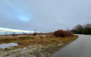 Teren extravilan 6.500 mp – două căi de acces, Cârțișoara - Poză 2