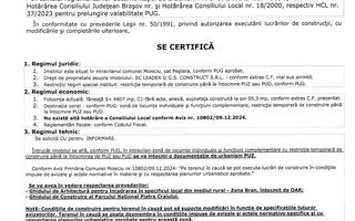 Oportunitate Investitie |Teren Pestera | 2.250mp |Utilitati Gaz/Curent - Poză 11