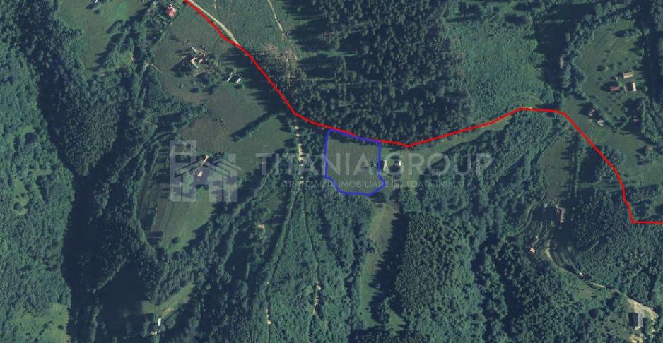 Platou montan, 6631 mp intravilan, electricitate,  langa pădure - Poză 7