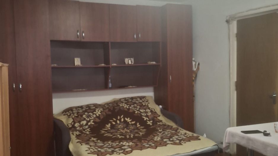 Vanzare apartament 2 camere Titan -Camil Ressu, Park Lake - Poză 3