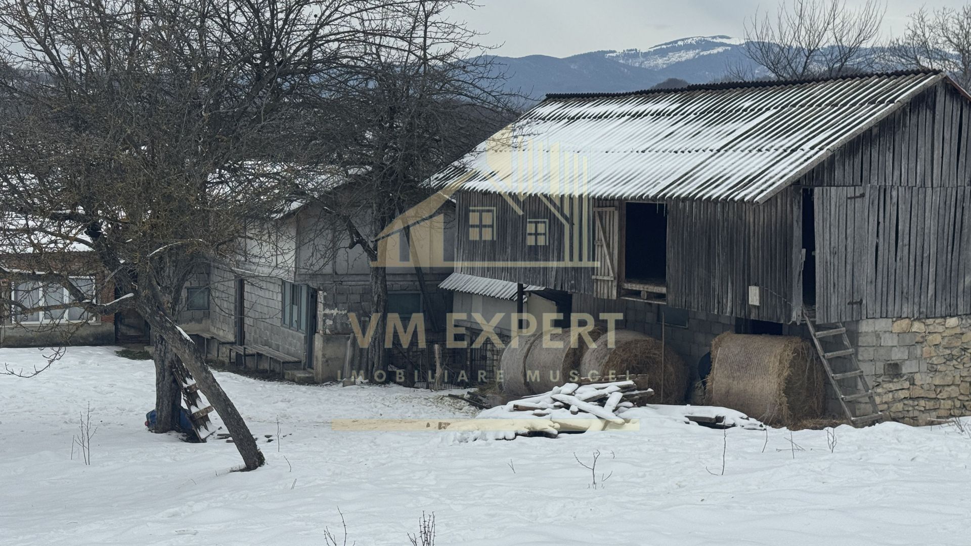 CASĂ 4 CAMERE TEREN 3038 MP ALBEȘTII  DE MUSCEL - Poză 33