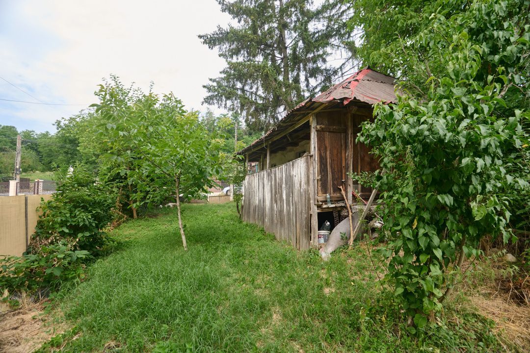 Teren 2240 mp intravilan + casa batraneasca Hintesti-Basangesti - Poză 9