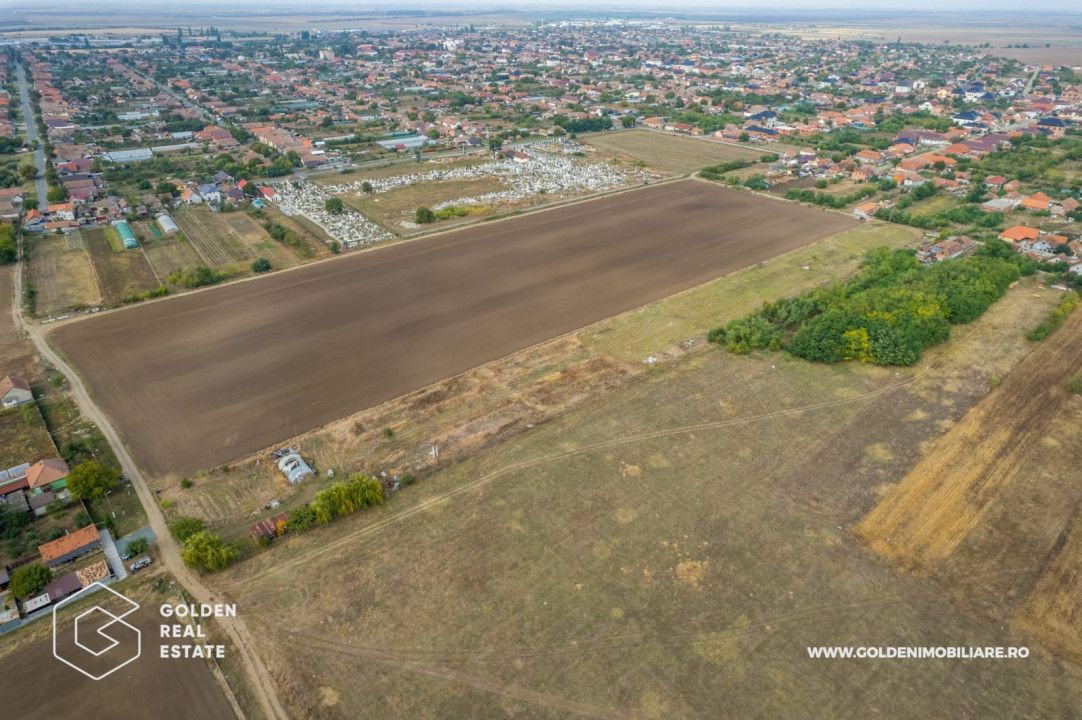 Teren intravilan, 14900 mp, Curtici - Poză 8