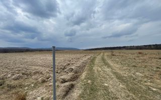 TEREN EXTRAVILAN | 23 ARI | HORODNIC DE SUS - Poză 9