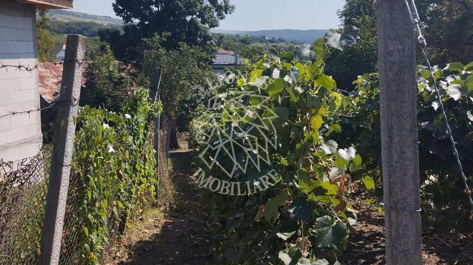Teren intravilan 2828 mp+autorizatie casa-anexe-livada-Dorolea - Poză 5