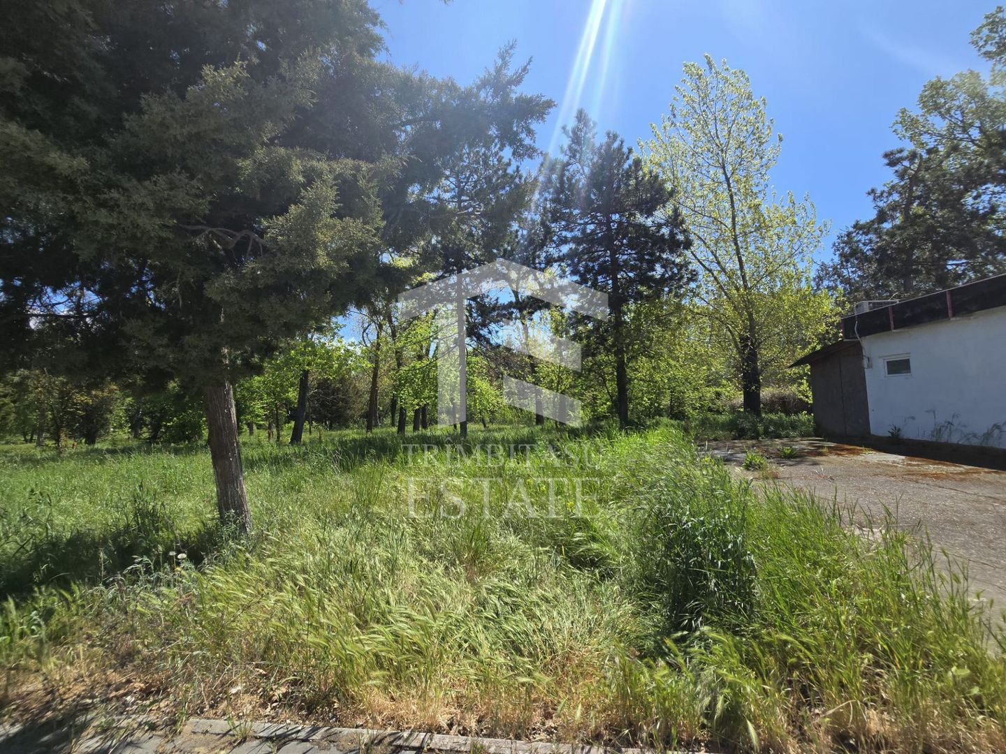 🏖 Teren de vanzare in Neptun – O oportunitate rara de investitie. - Poză 11