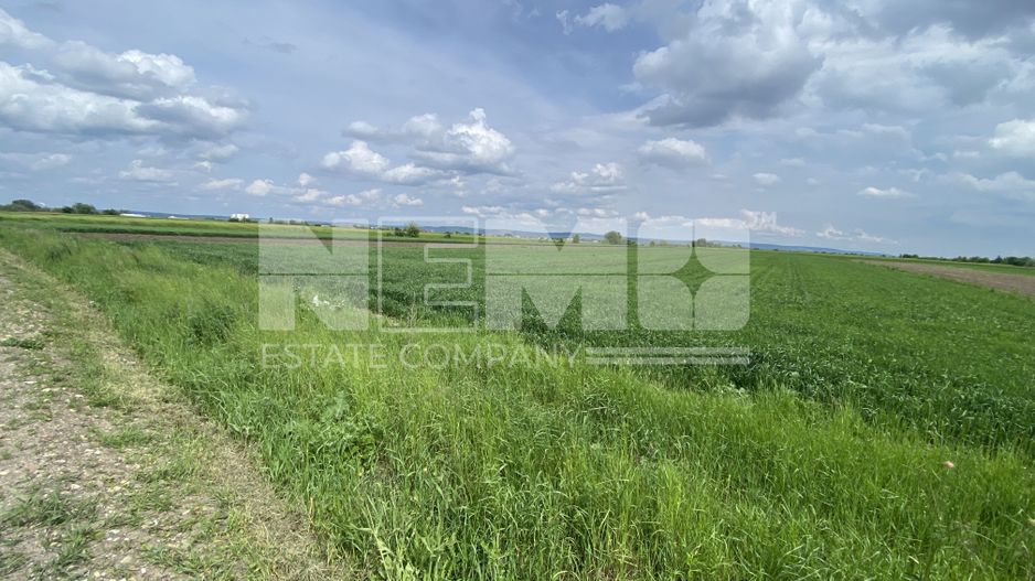 Teren Burla | Strada Principala | 78 ARI - Poză 3