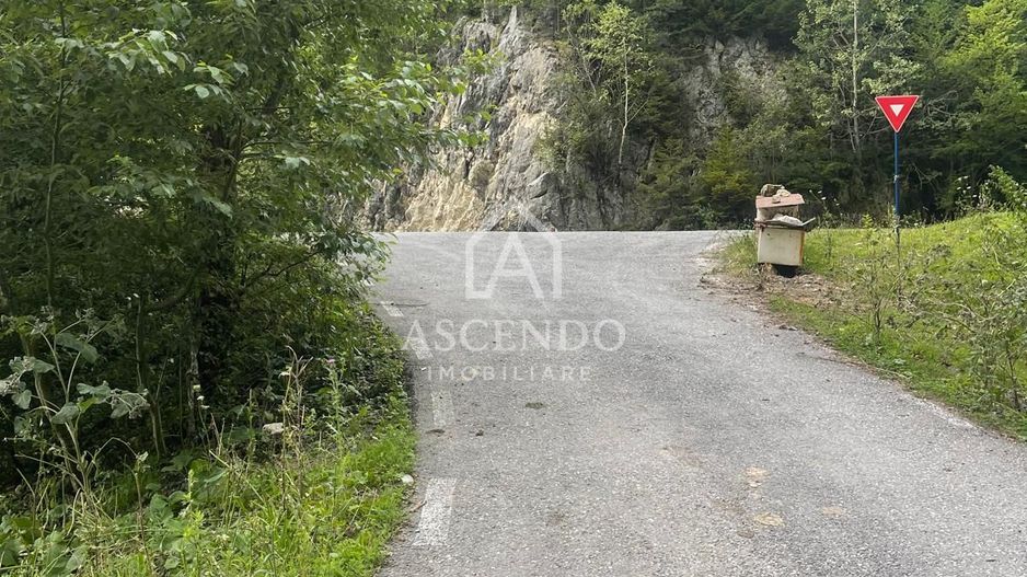 Teren pentru investiție turistică în Dâmbovicioara – Baranga | 4.500 mp | Front ~102 ml - Poză 14