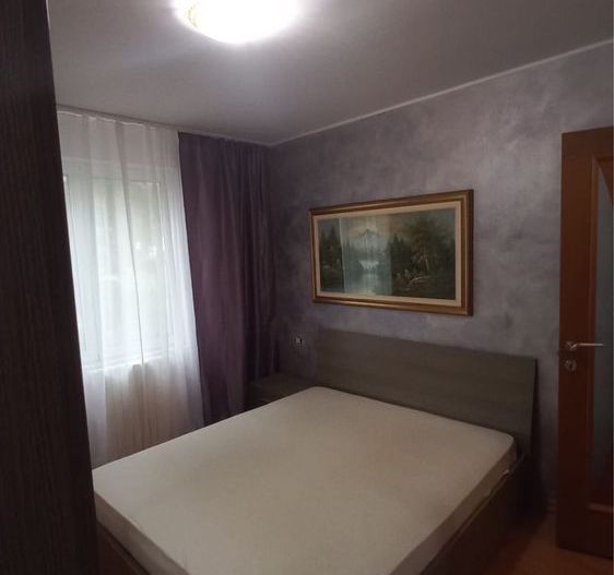 Apartament 3 camere /2 bai/ Centrala, Zona Stanjeneilor, Sp. Badgasar Arseni. - Poză 8