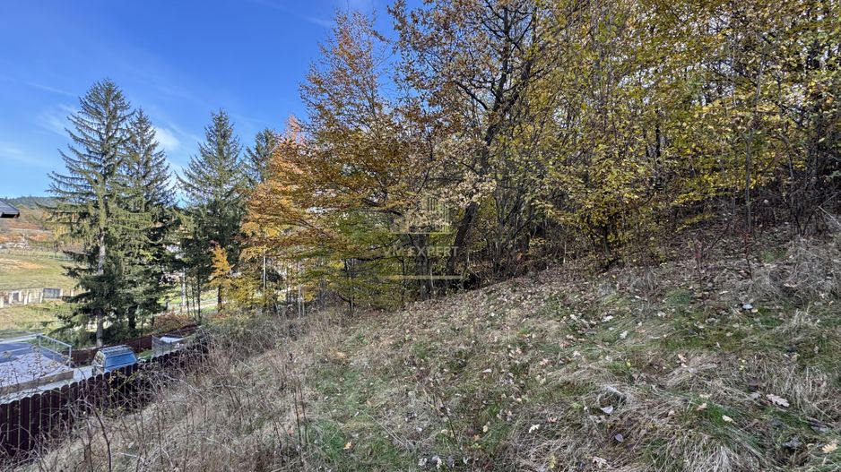 TEREN INTRAVILAN 13167 MP BUGHEA DE SUS ARGES - Poză 11