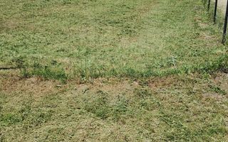 Teren 981 mp Săldăbagiu de Munte Oradea - Poză 7