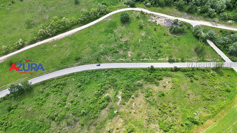 AZURA Imobiliare - Teren Topoloveni Bamesa Autostrada - Poză 3