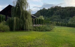 Vanzare teren 3000 mp, cabana, zona D D Rosca, Faget
