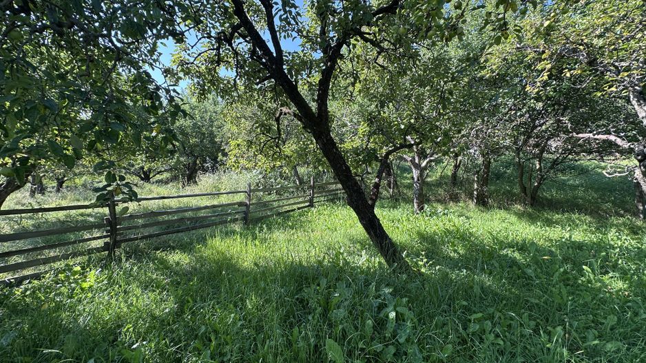 De vanzare: casa in inima unei superbe zone de deal, Valeni-Dambovita - Poză 18