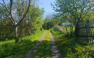 Teren de vis în Stejeriș – utilități, natură, acces rapid! - Poză 4
