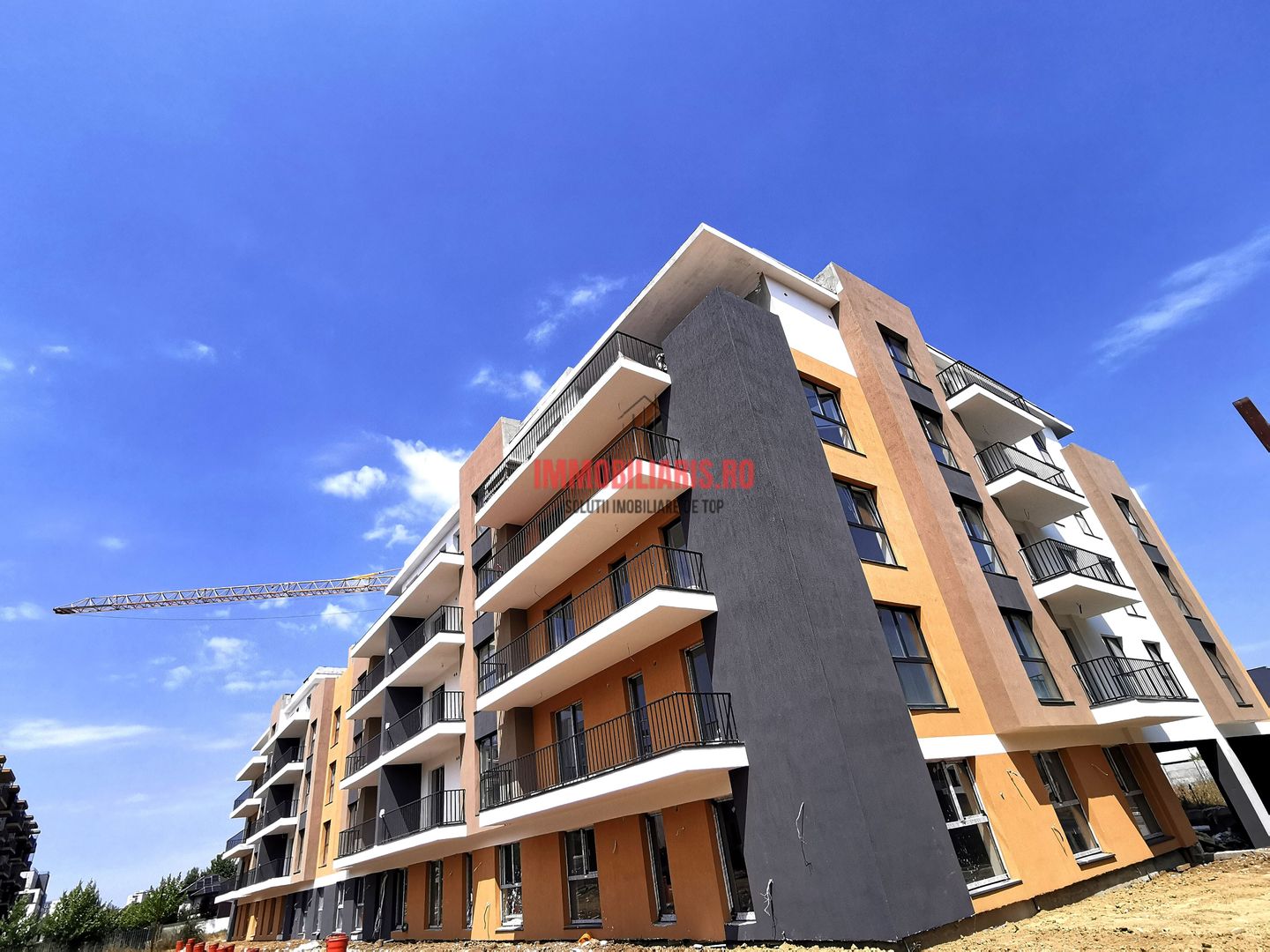 Theodor Pallady - Regim mic de inaltime - Fara Comision - Poză 1