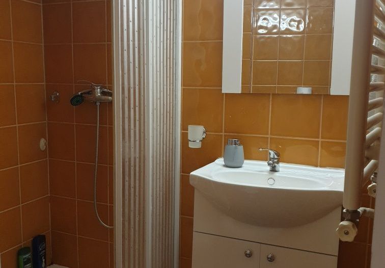 APARTAMENT IDEAL PENTRU INVESTIEI ZONA VICTORIEI - Poză 7