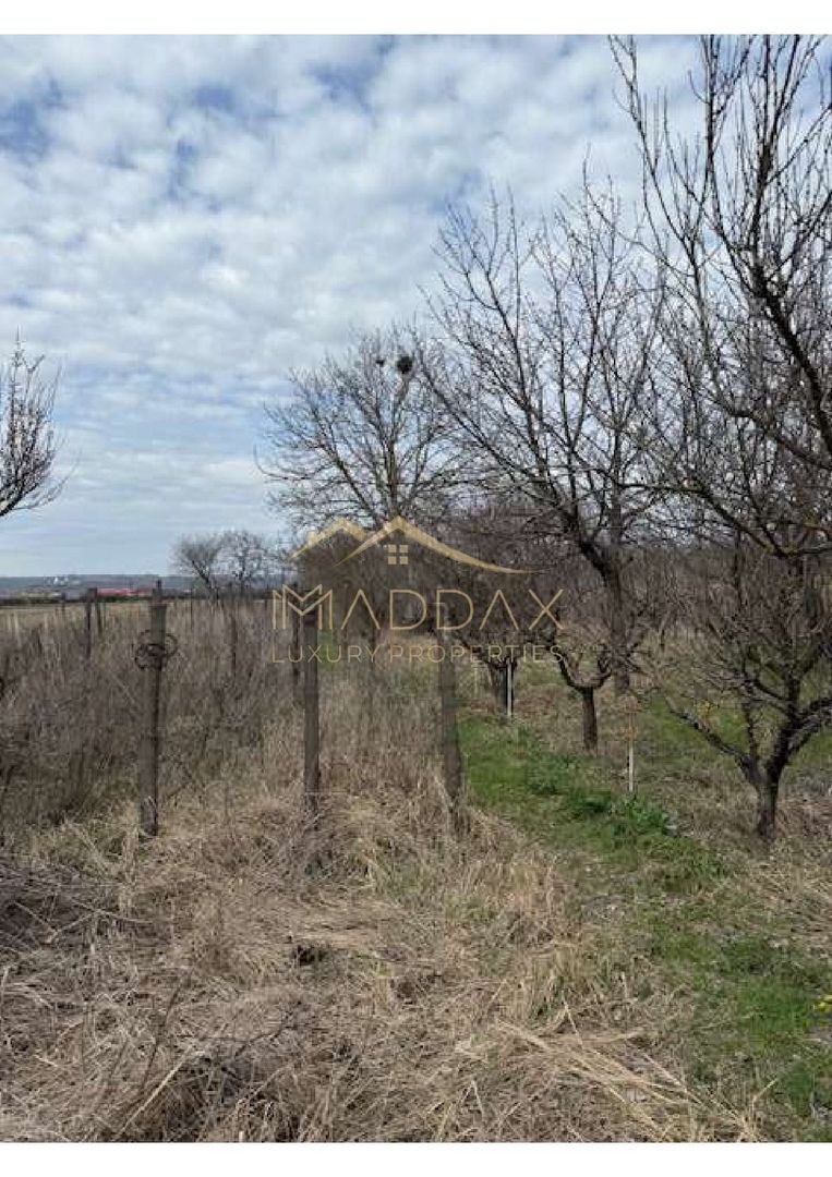 Teren intravilan 4.803 mp cu casă și anexe – Drăgășani, zona viticolă - Poză 3