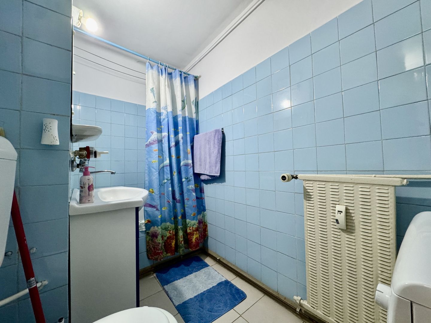 GARSONIERA DECOMANDATA | VIDIN | LACUL TEI | CONISION 0% - Poză 5