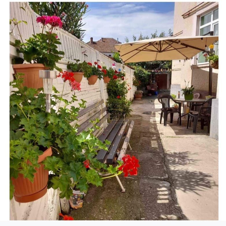 Satu Mare, Zona Titulescu, Oportunitate pentru familie mare sau firme. - Poză 24