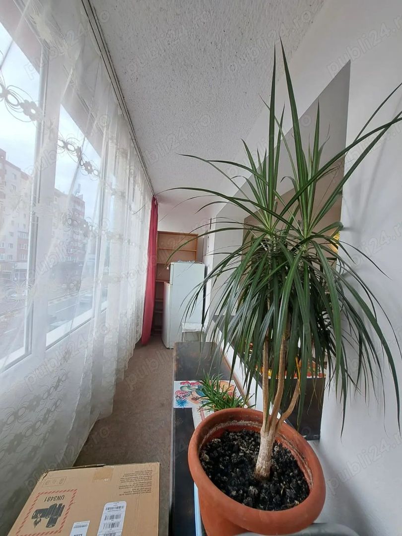 Garsoniera Calea Bucuresti - zona Judetean - Poză 10
