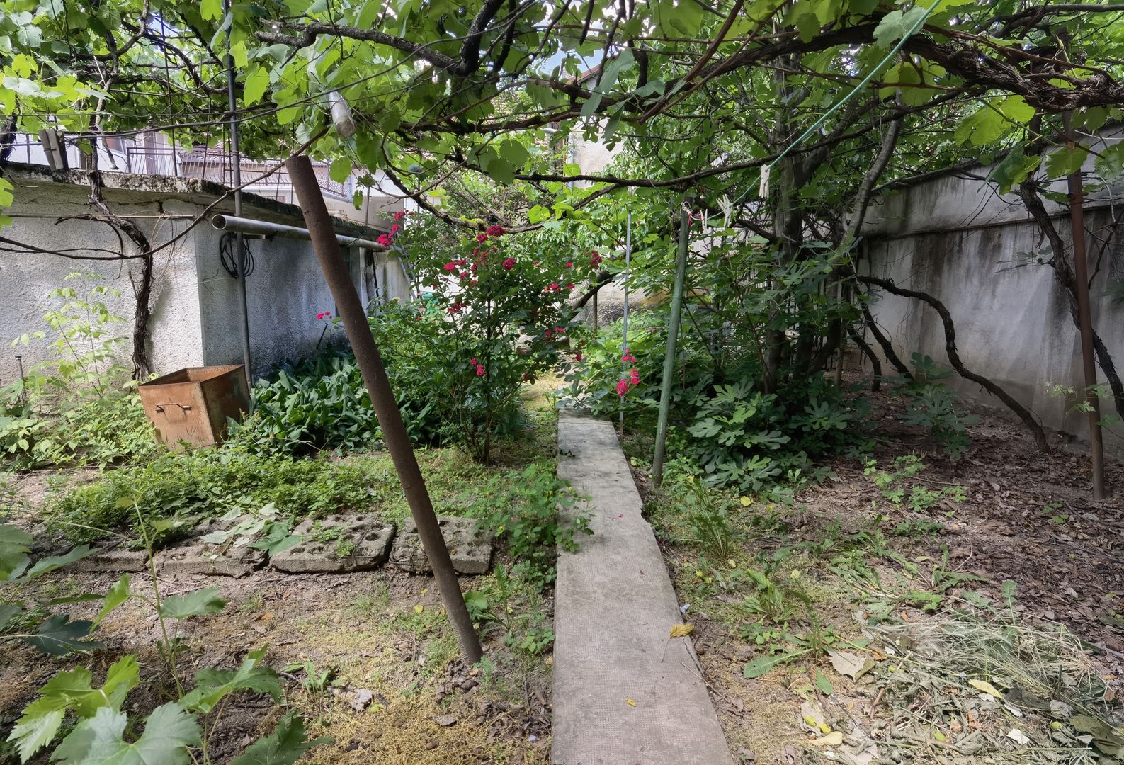 Casa zona centrala - Poză 6