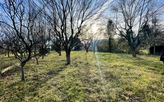 Teren intravilan 1.915 mp + cabană din lemn | Tocile – Sadu - Poză 1