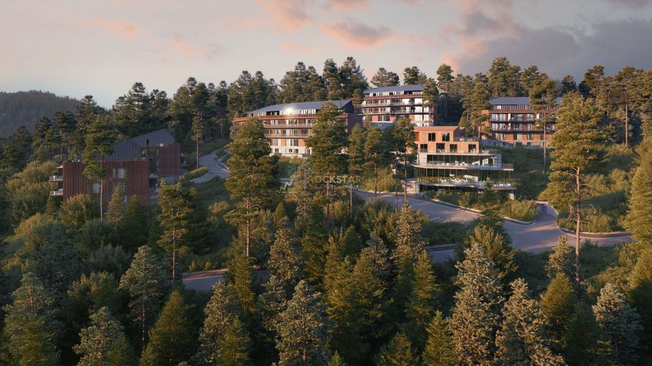 Studio | Terasa 13mp | Poiana Brasov - Poză 4