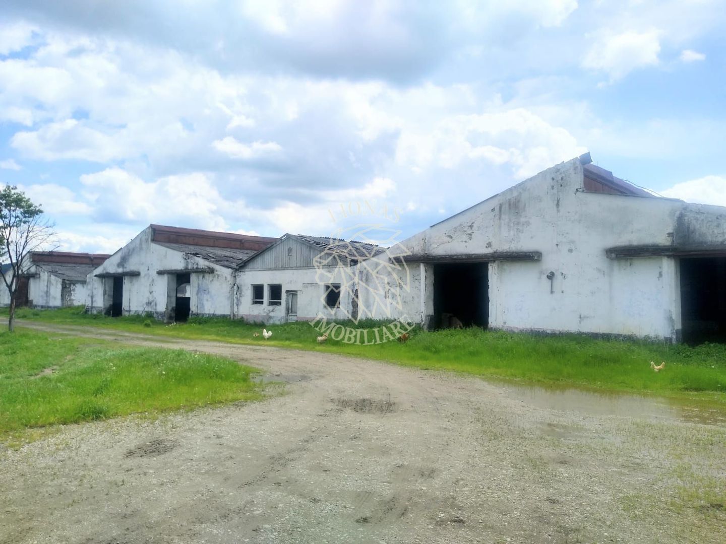 HALE 6500 mp- Oportunitate Fond Europene- 500 ari si lac- Sieu Odorhei - Poză 1