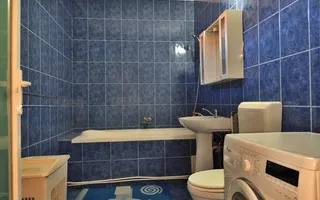 Casa la tara - teren 2826 mp, acces auto, in Sacadat, Bihor - Poză 12