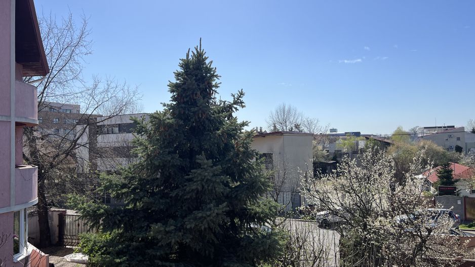 Vila superba Baneasa - Dobrogeanu Gherea - Poză 29