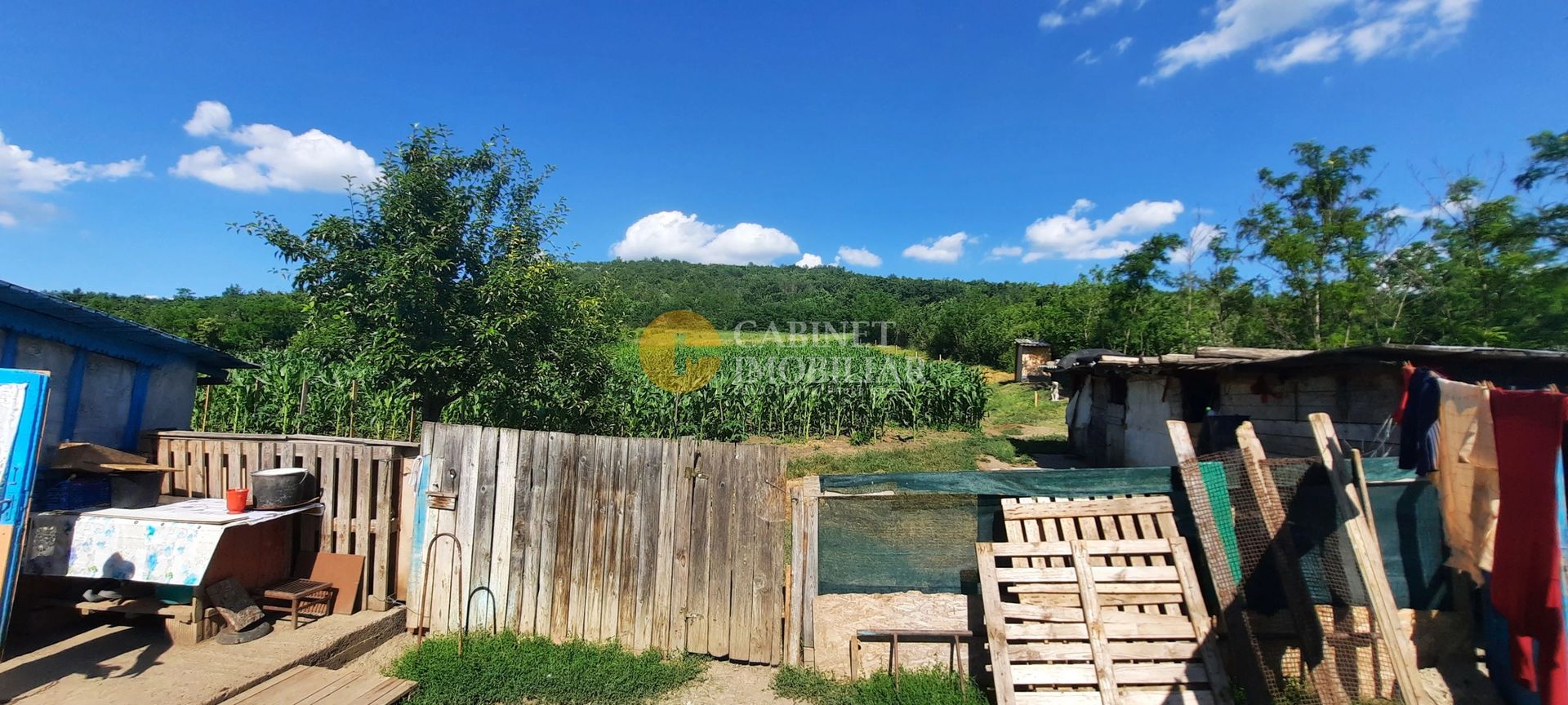Casă / Vilă cu 2 camere de vânzare în Totoesti - Poză 8