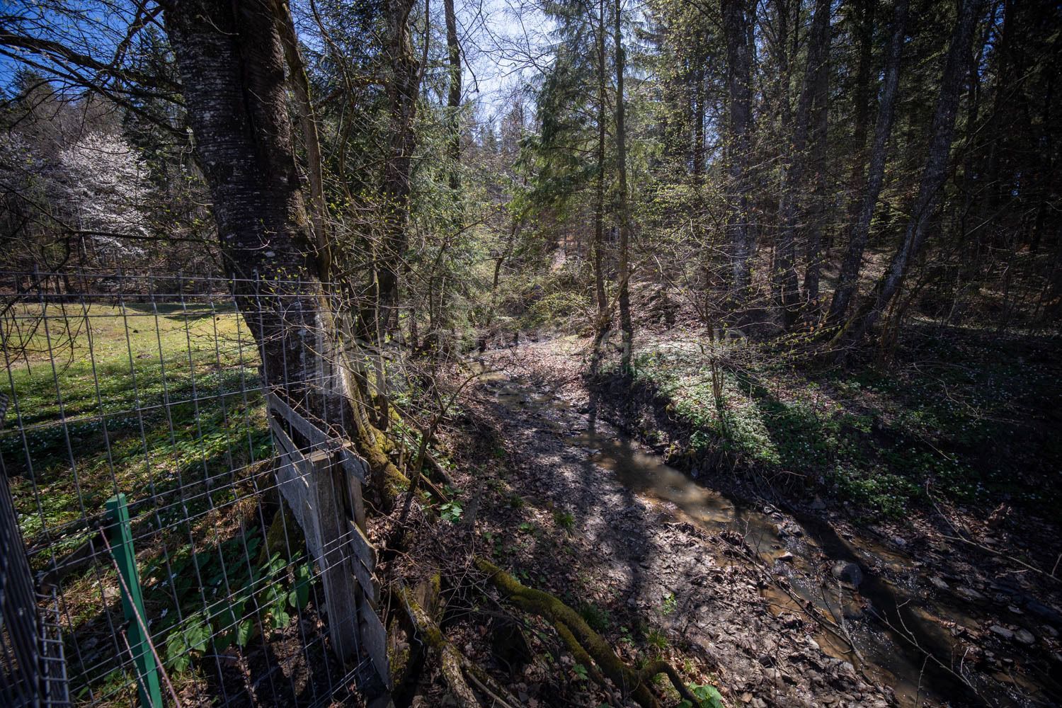 Teren intravilan, pretabil pentru casa de vacanta, 2000 mp - Poză 18