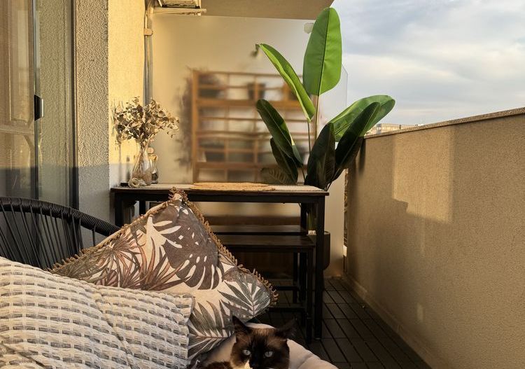 Apartament 2 camera de inchiriat Seban Voda/ Carol / Tineretului - Poză 8