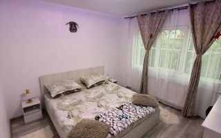 Vanzare Apartament 3 camere, parter, renovat 2026, parcare ADP – Bd Timisoara - Poză 1