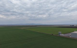 Teren de vânzare – 20.000mp – Ghimbav, lângă Parcul Industrial - Poză 4