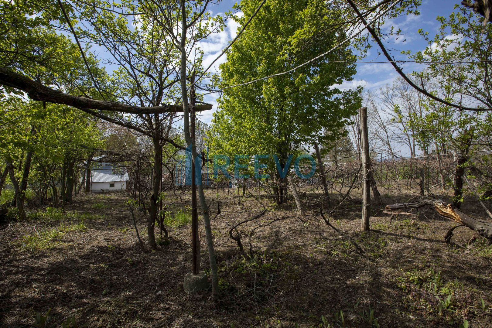 Casă de vânzare în Blăgești, Bacău - Poză 34