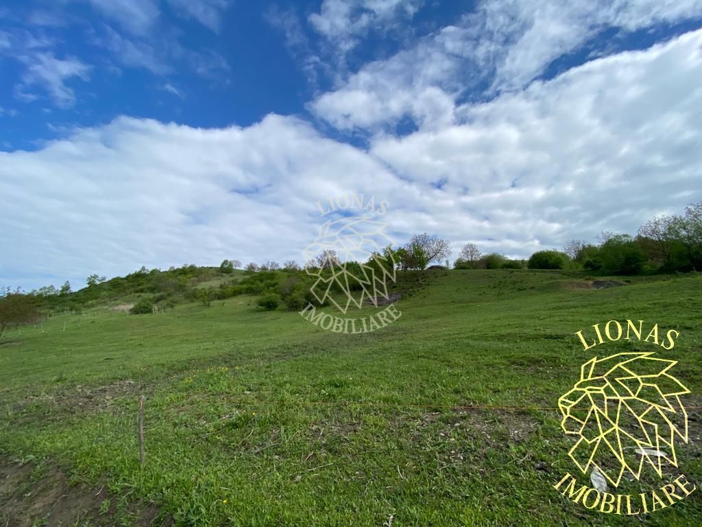 Teren Extravilan - Ghinda - 3.5000mp-Parcelabil - Poză 3