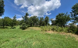 Teren Fedelesoiu/3200 mp/Intravilan - Poză 4