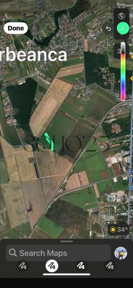 Coreanca  8000 mp intravilan - Poză 3