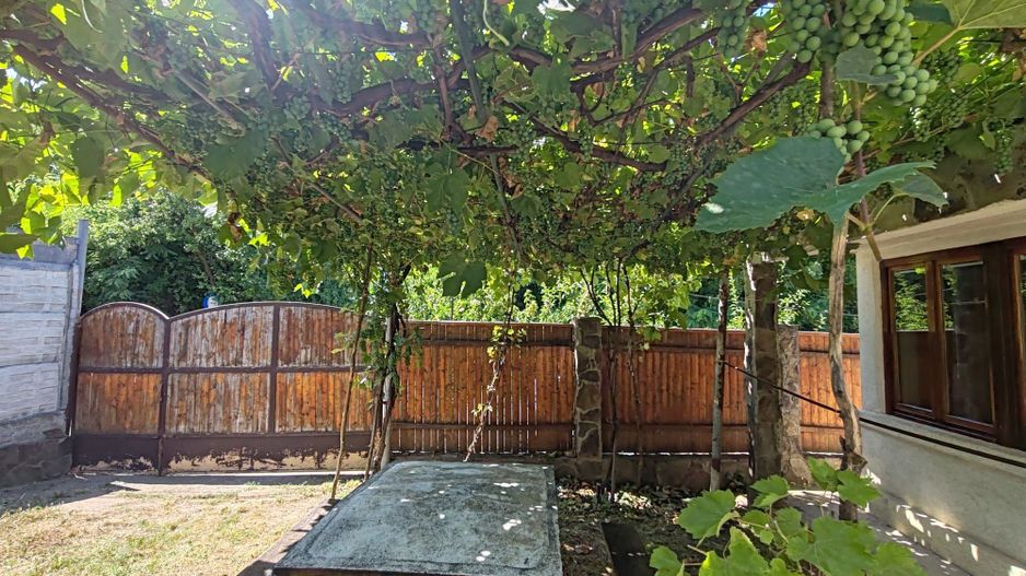 Casa si gradina-95000euro-Picioru Lupului-Comuna Ciurea - Poză 3