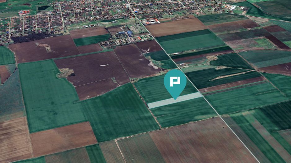 Teren 30.000 mp cu acces asfaltat – Peciu Nou - Poză 4