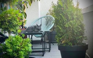 Apartament cu 2 camere | Terasă generoasă - 20 mp | Cartierul Iris - Poză 6