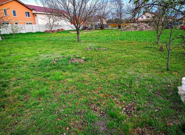 COMISION 0 | 2 Terenuri intravilane | 2.212 mp | FS 43 m | Mosnita Veche - Poză 3