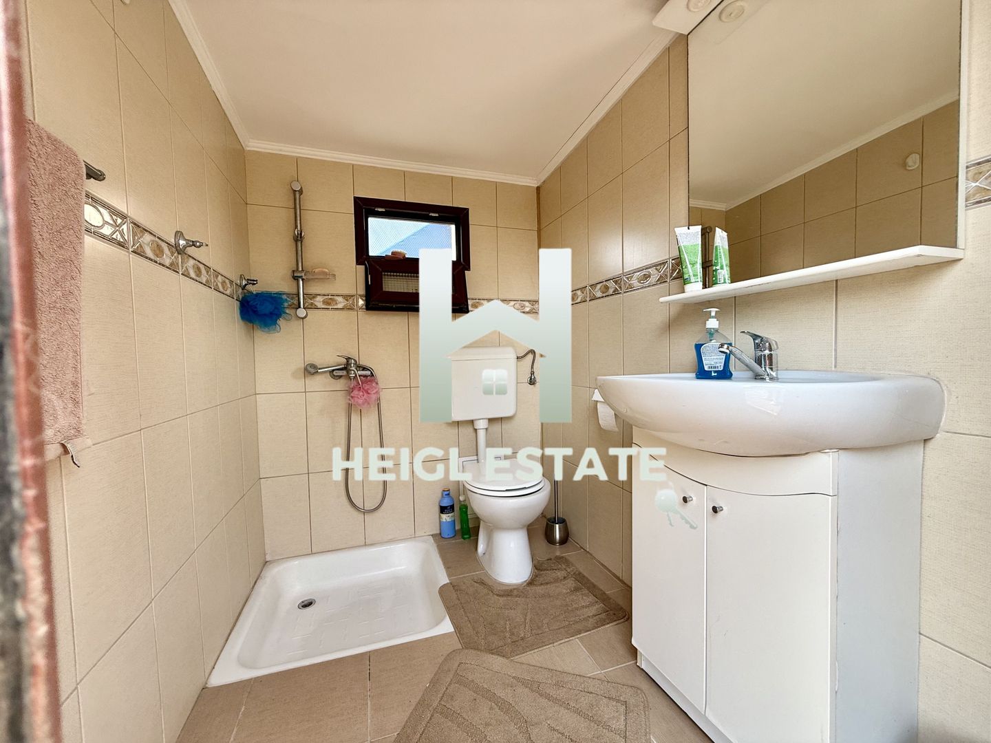 Casa individuala cu 10 camere 1600 mp teren - Poză 23