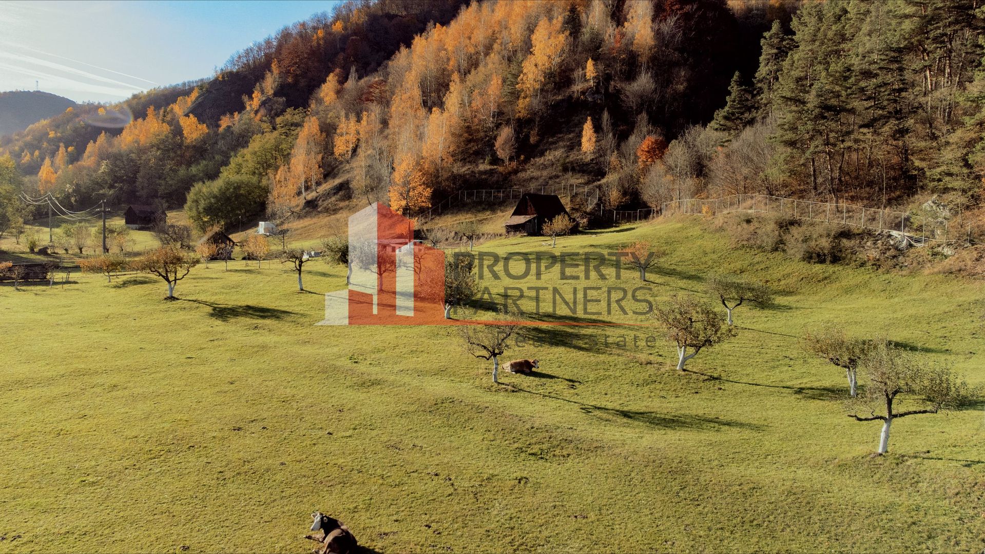 Teren 15.941 mp Moieciu | parcelabil | aproape de Castelul Bran - Poză 6